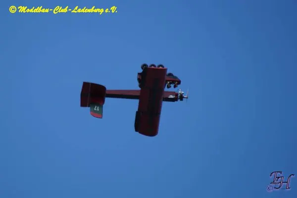 Fliegende Kuriositäten – c0e0bc8915b6fc8c.jpg