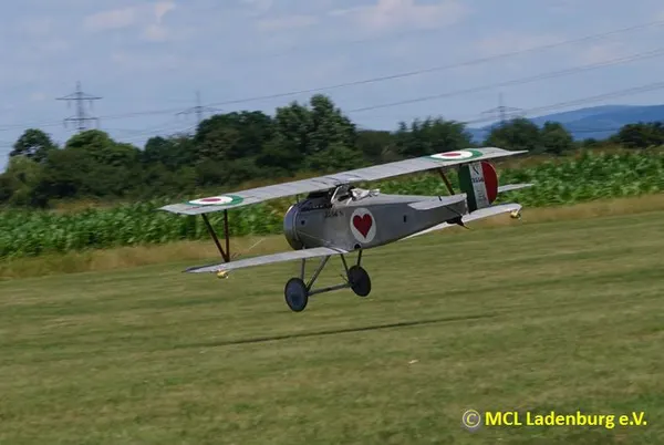 Flugtag 2015 – a06761a6e0107a07.jpg