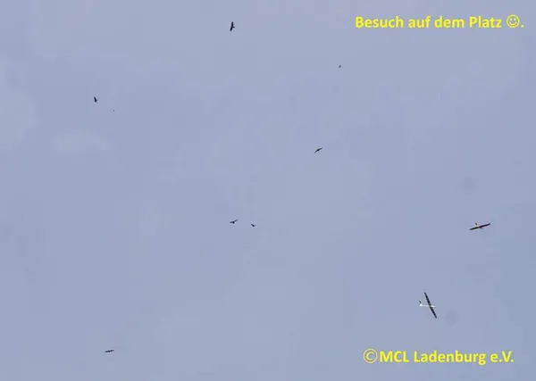 Impressionen 2016 – e4fd2907df8107ae.jpg