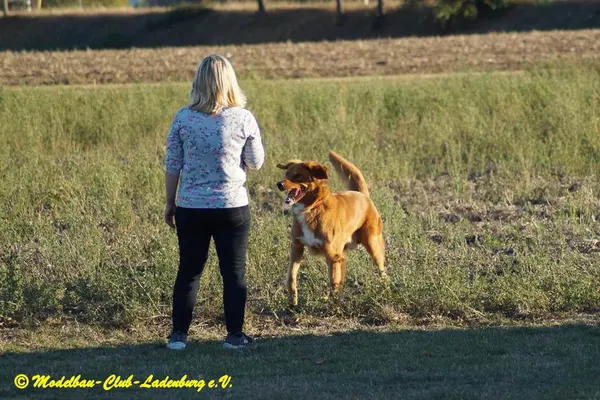Impressionen 2018 – 9a8e908a285f79d8.jpg