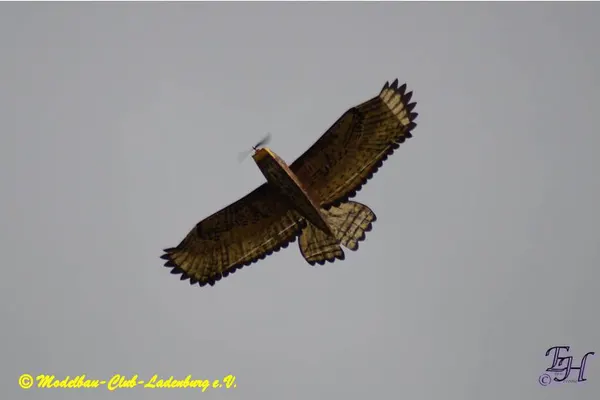 Impressionen 2020 – 573cc5c3b6c95172.jpg