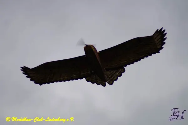 Impressionen 2020 – 6e9125d9a8510e55.jpg