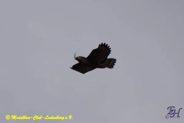 Impressionen 2020 – ab41766e1a12d2d3.jpg
