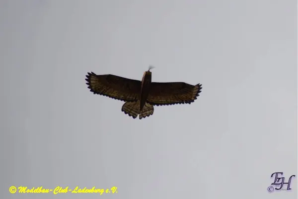 Impressionen 2020 – eb9d3323a62b1ab4.jpg