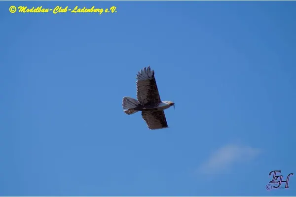 Impressionen 2022 – 17f35c149635d731.jpg