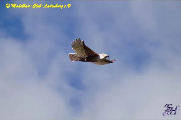 Impressionen 2022 – 42c0aca75a005a0d.jpg