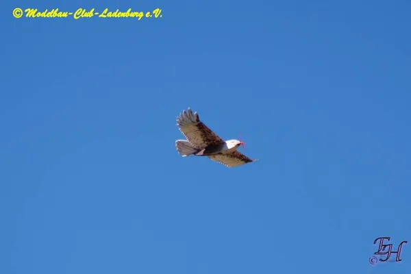 Impressionen 2022 – 69dd8a0fd2c9673f.jpg