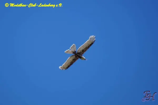 Impressionen 2022 – f476c3573279155b.jpg
