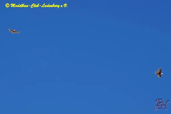 Impressionen 2022 – f6dc0c41af008a7c.jpg