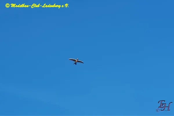 Impressionen 2023 – 47b0f38eb53d5067.jpg